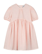 Delicate Pink Embroidered Voluminous Sleeve Tulip Dress