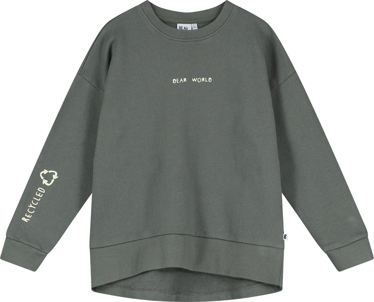 Dark Gull Grey &