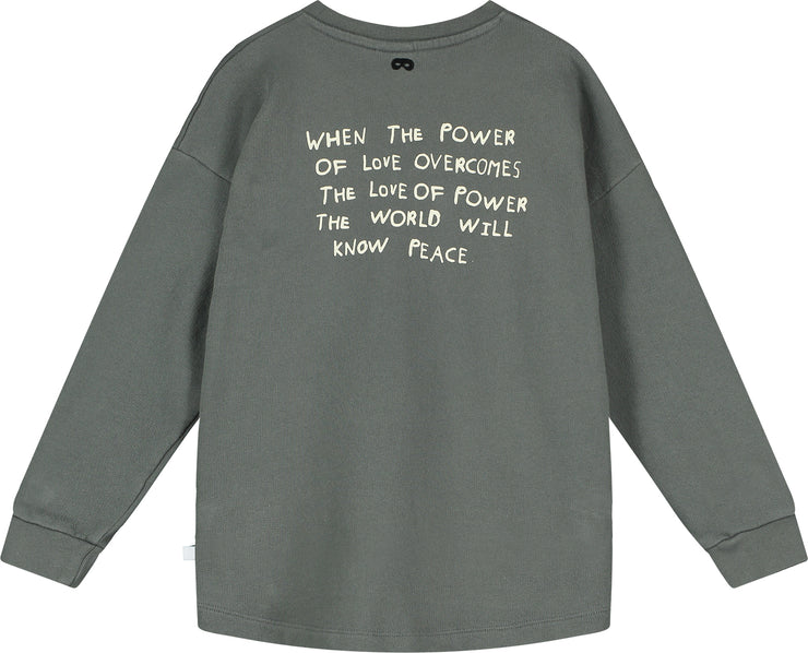 Dark Gull Grey &