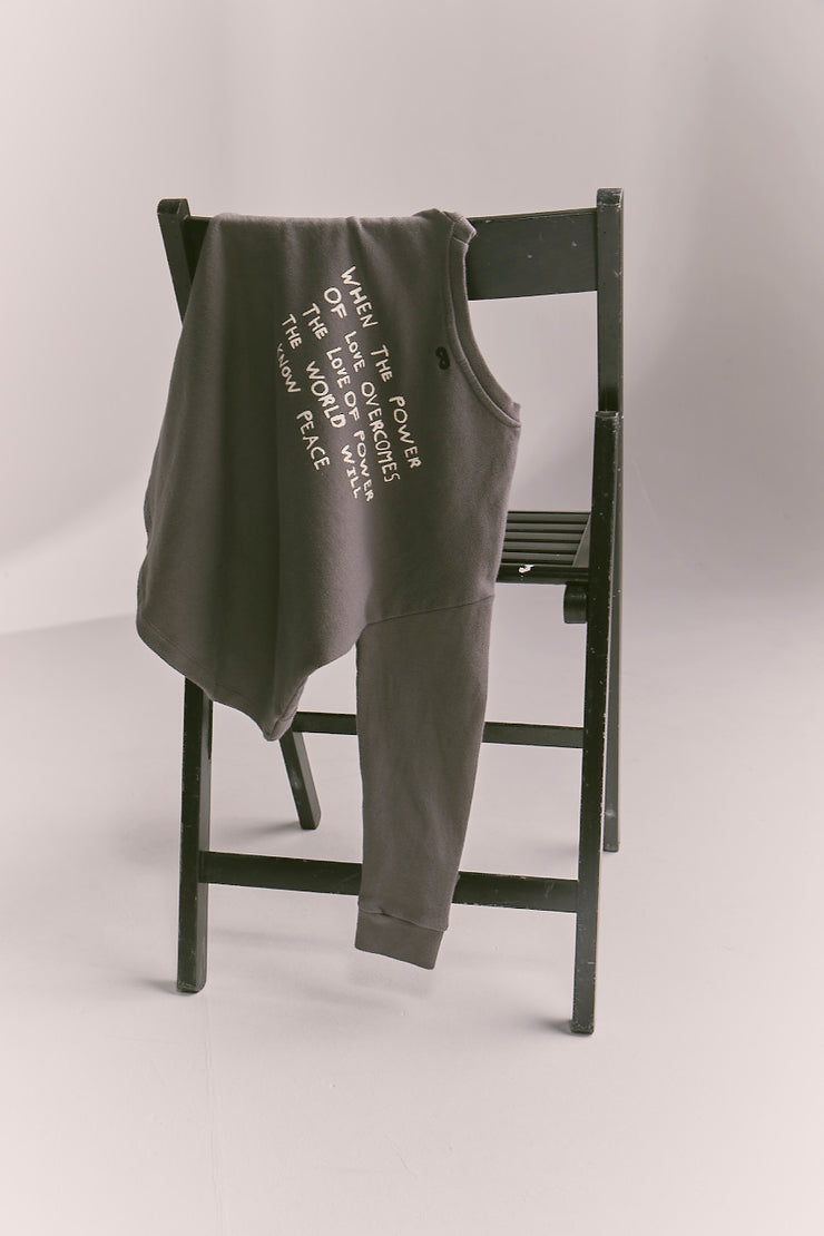 Dark Gull Grey &