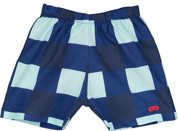 Navy And Pale Green Gingham Baby Shorts