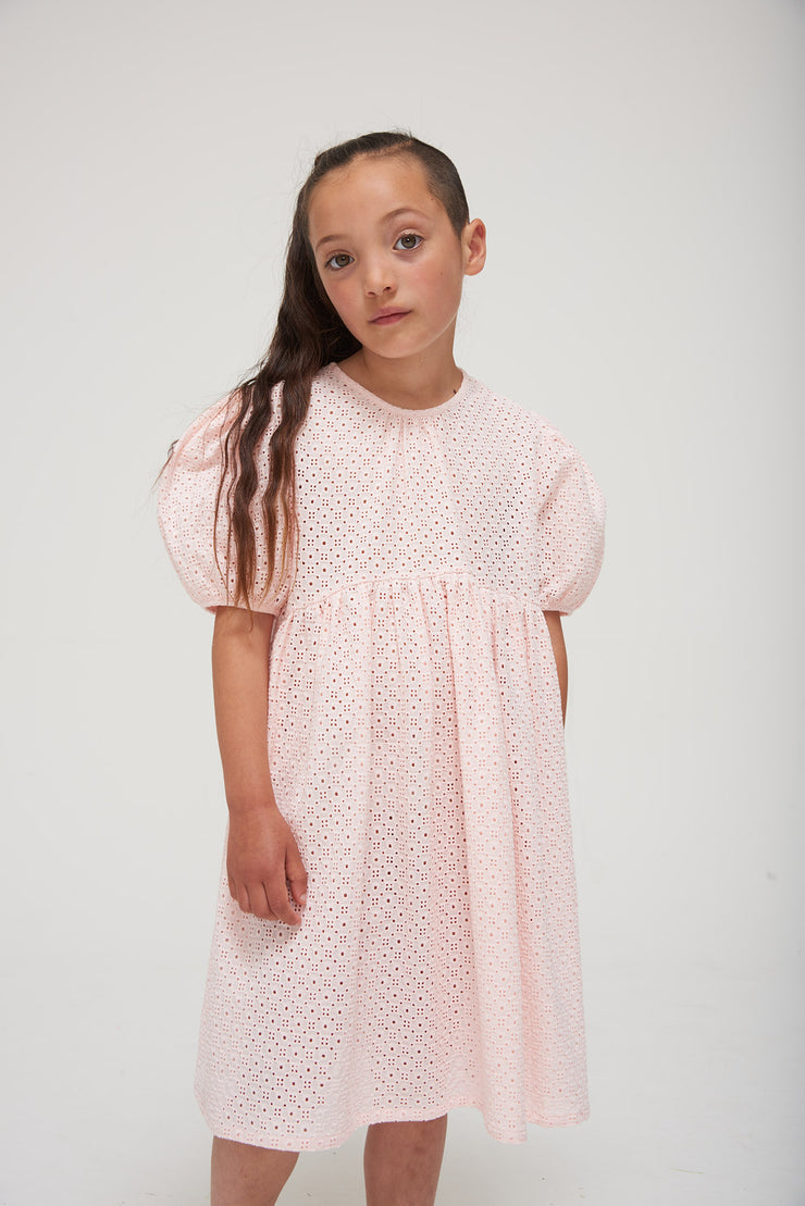 Delicate Pink Embroidered Voluminous Sleeve Tulip Dress