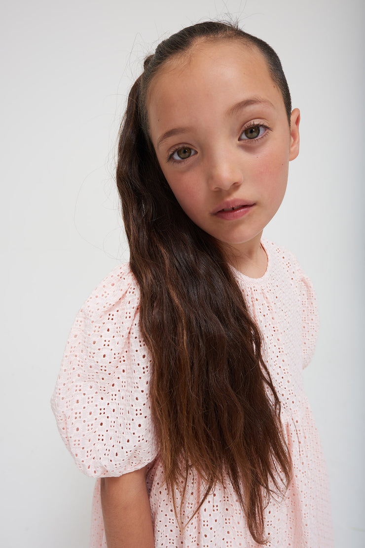 Delicate Pink Embroidered Voluminous Sleeve Tulip Dress