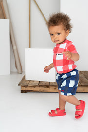 Navy And Pale Green Gingham Baby Shorts